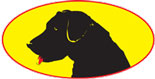 Blackdawg header logo icon
